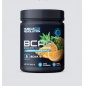  Muscle Pro Revolution BCAA 8:1:1 340 